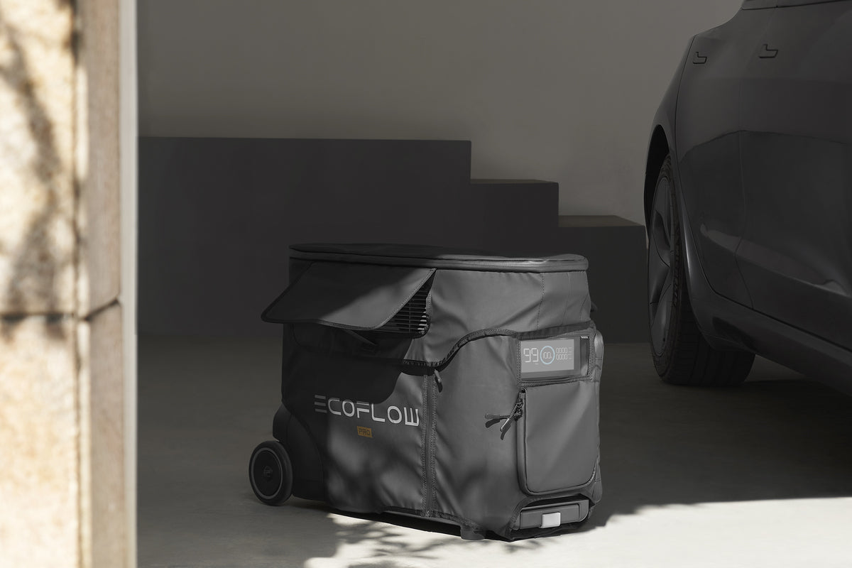 Ecoflow Delta Pro Bag