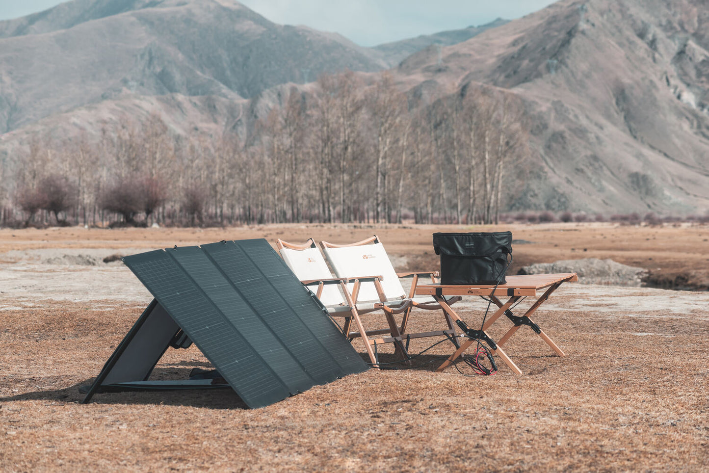 Ecoflow 220W Bifacial Solar Panel