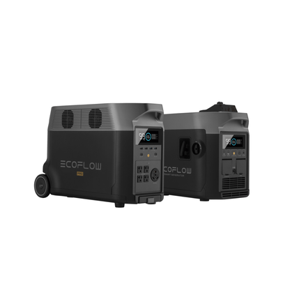 Ecoflow DELTA Pro Portable Power Station