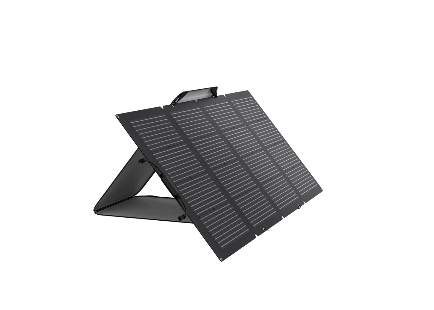 Ecoflow 220W Bifacial Solar Panel